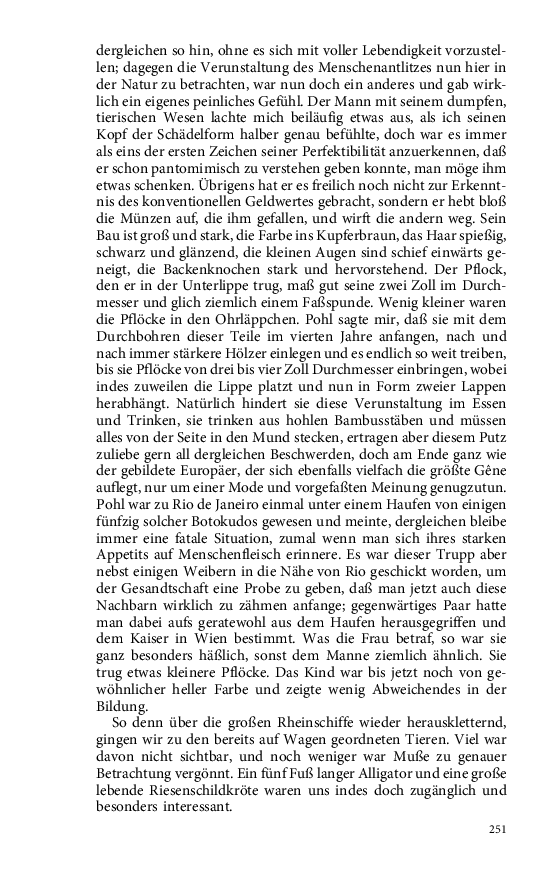 Seite 251