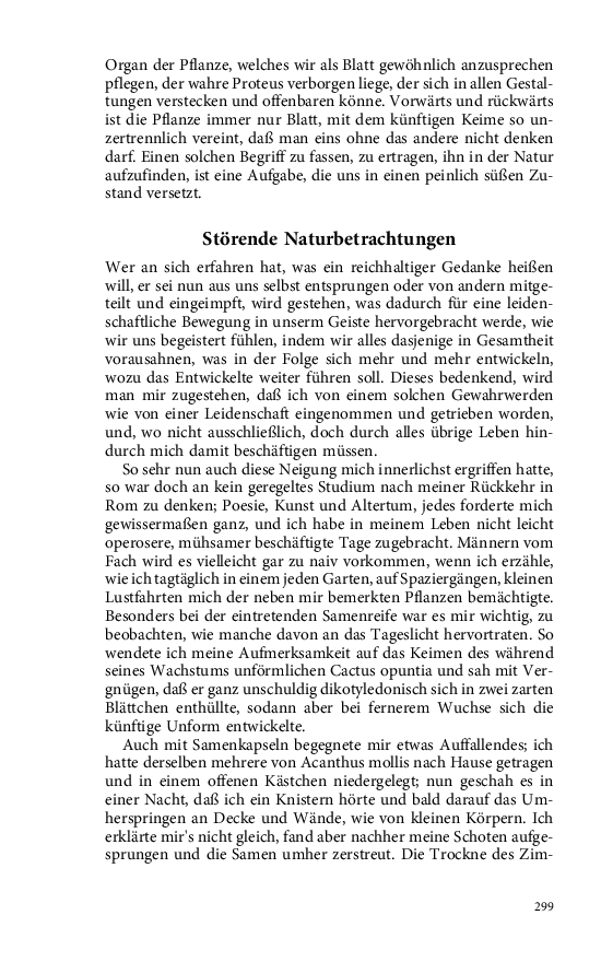 Seite 299
