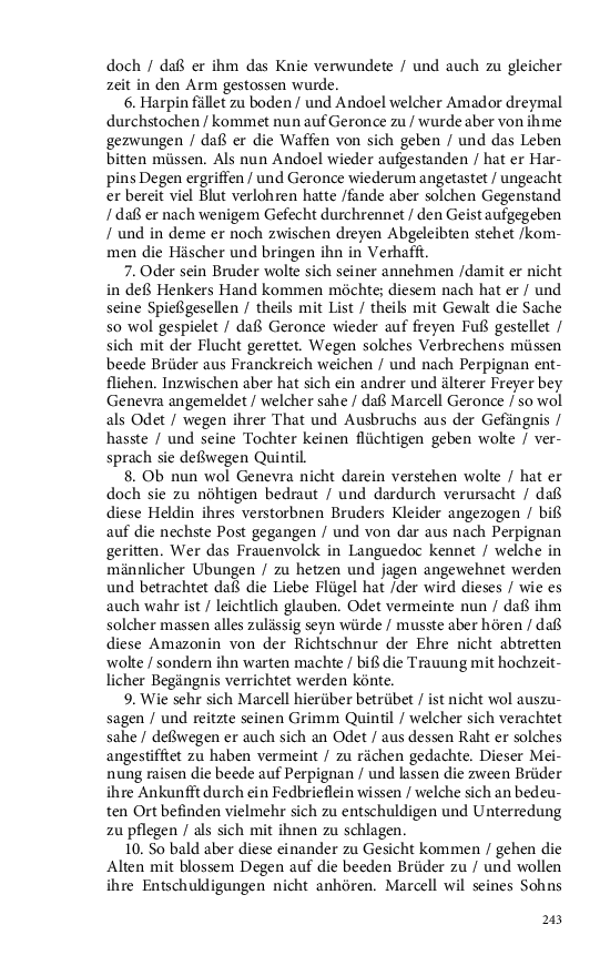 Seite 243