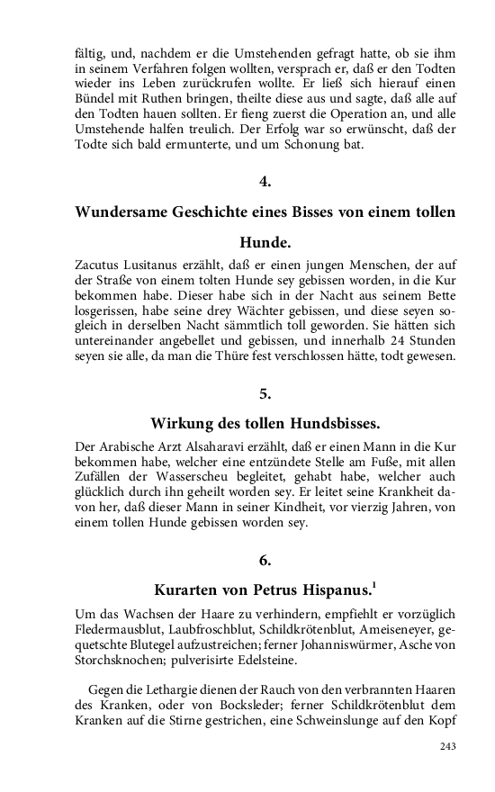 Seite 243
