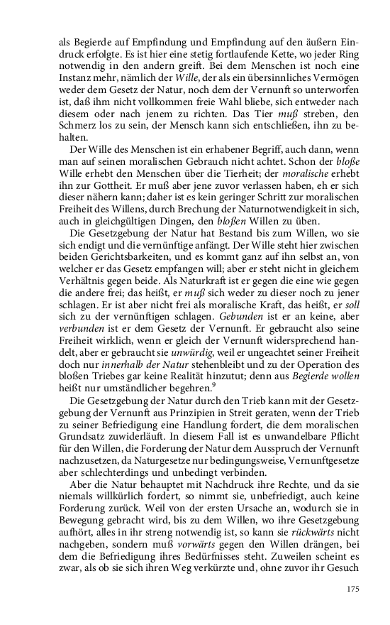 Seite 175