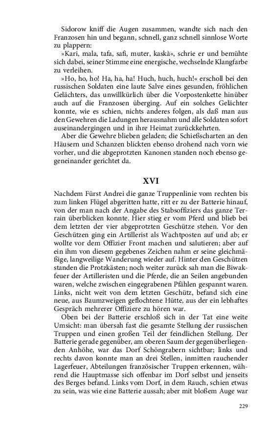 Seite 229