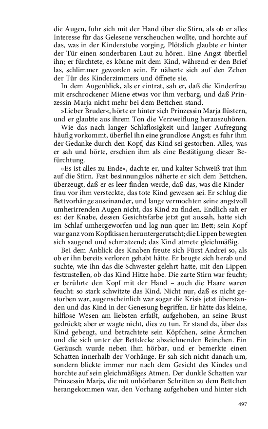 Seite 497
