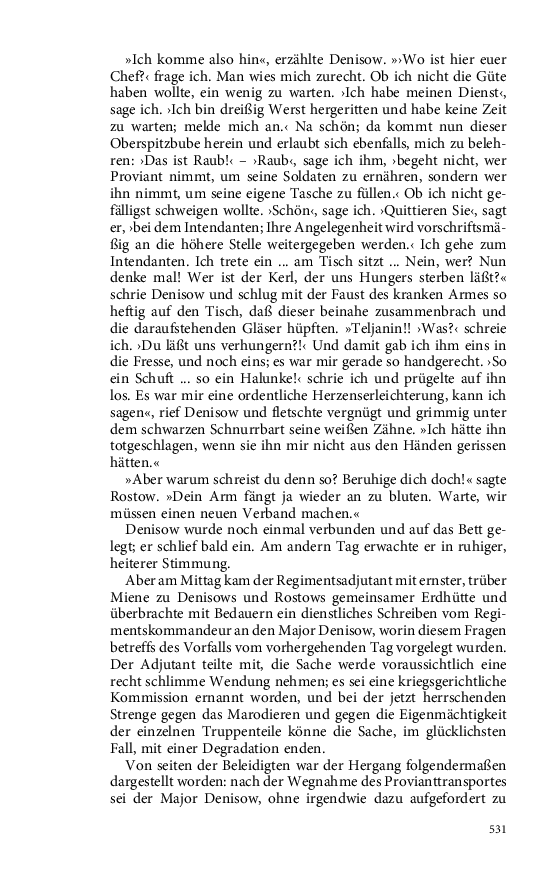 Seite 531