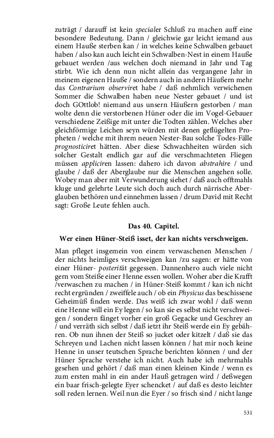 Seite 531