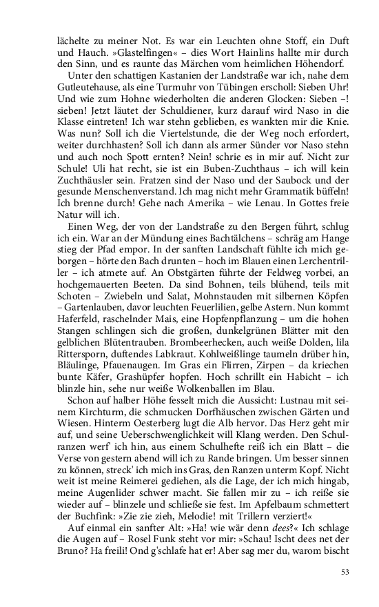 Seite 53
