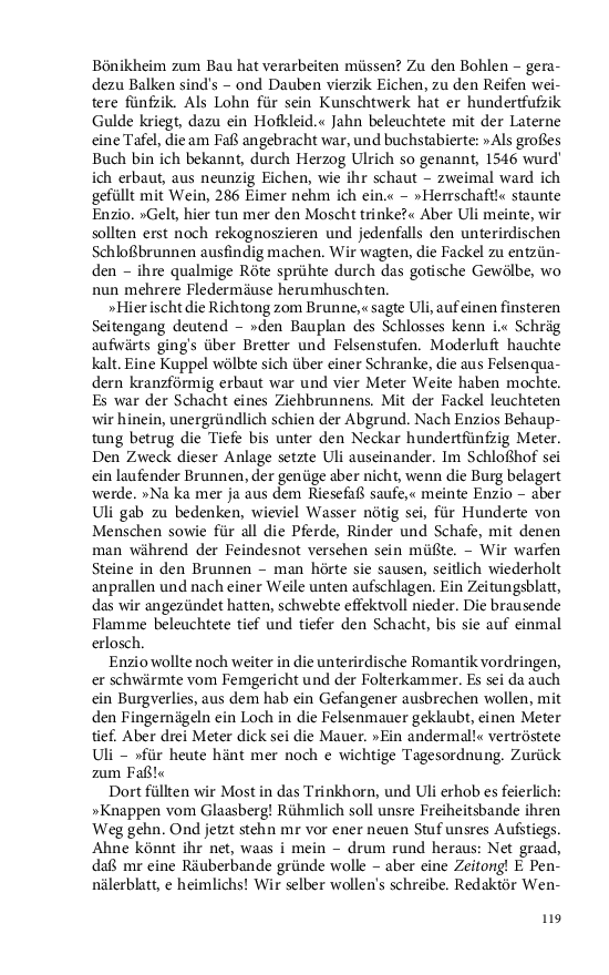 Seite 119