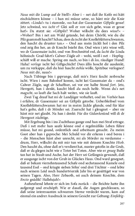 Seite 207