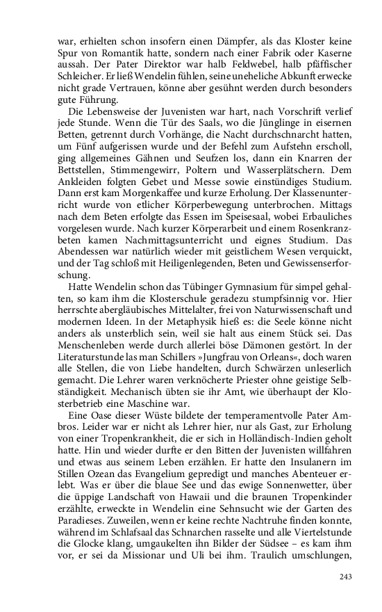 Seite 243