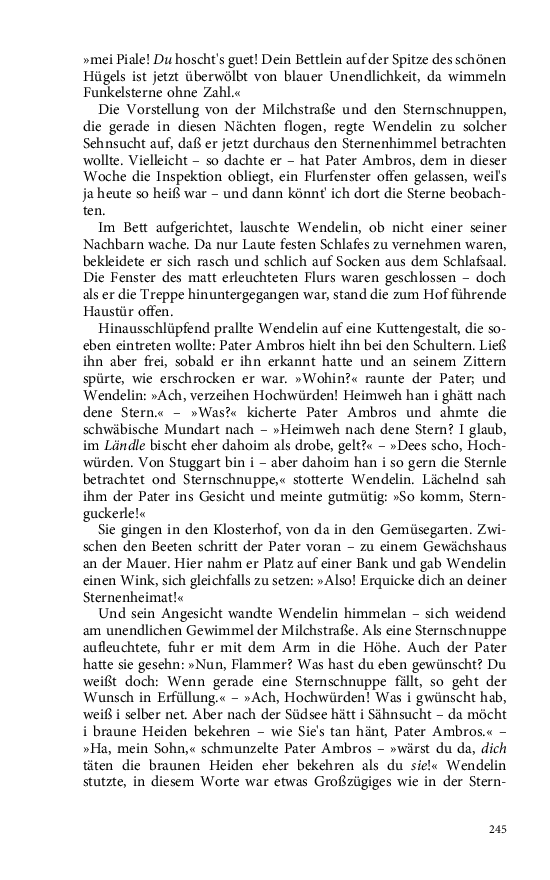 Seite 245