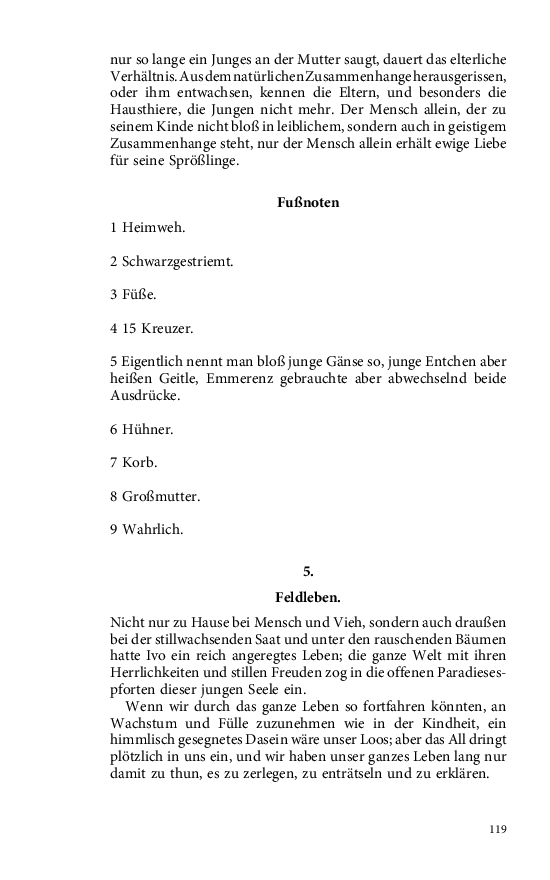 Seite 119