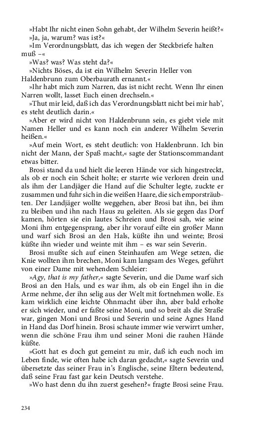 Seite 234