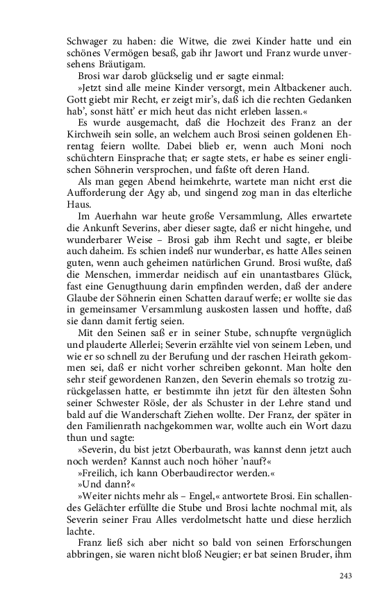 Seite 243
