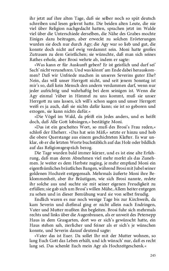 Seite 245