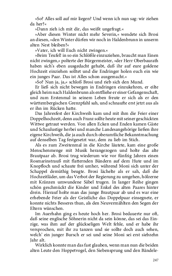 Seite 247