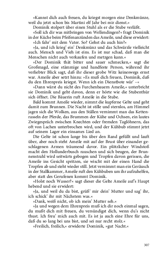 Seite 307