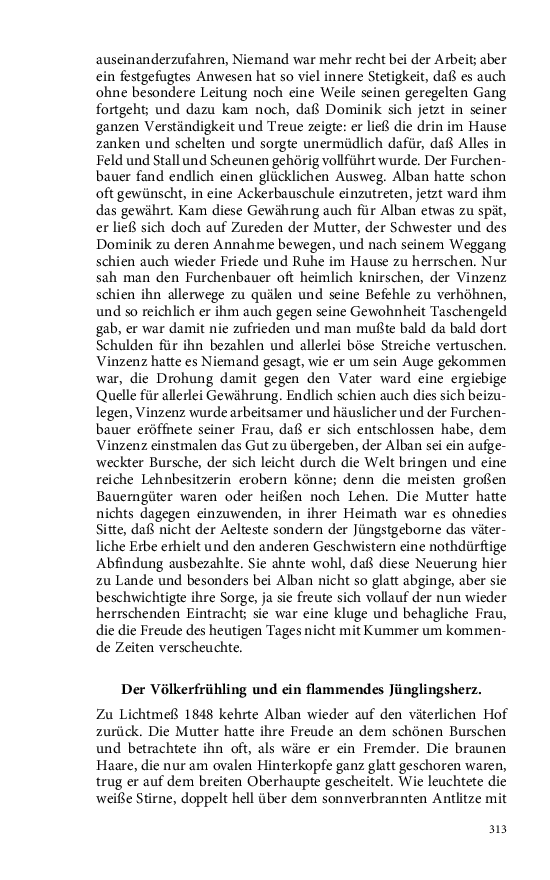 Seite 313