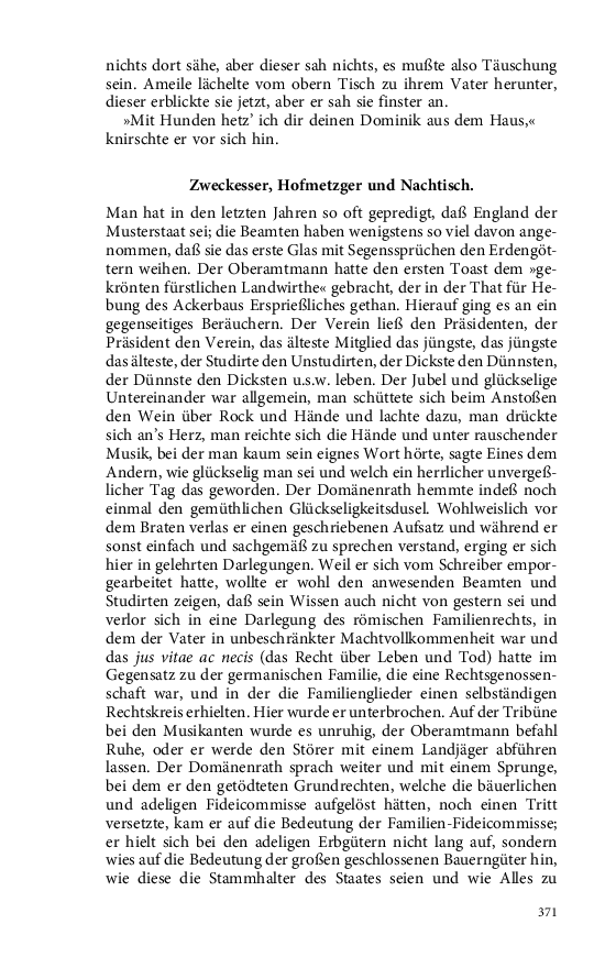 Seite 371