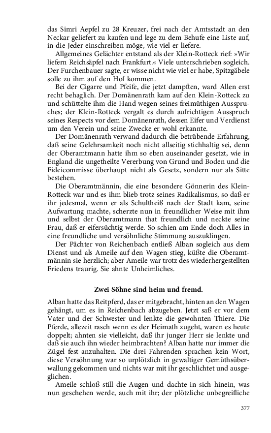 Seite 377