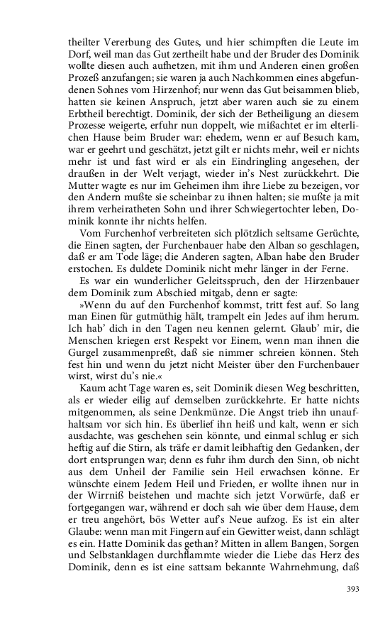 Seite 393