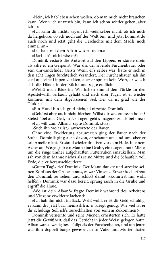 Seite 417