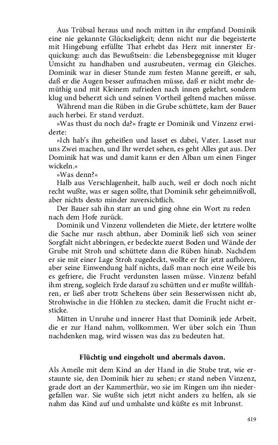 Seite 419