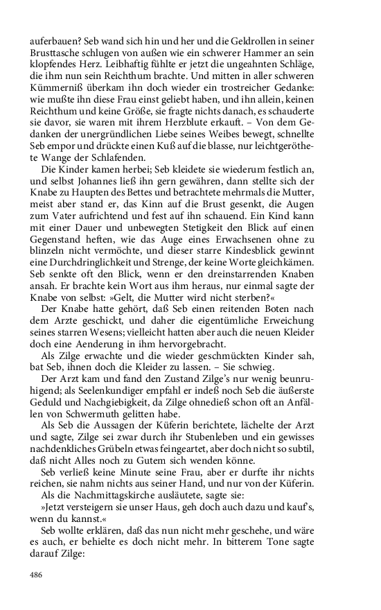 Seite 486