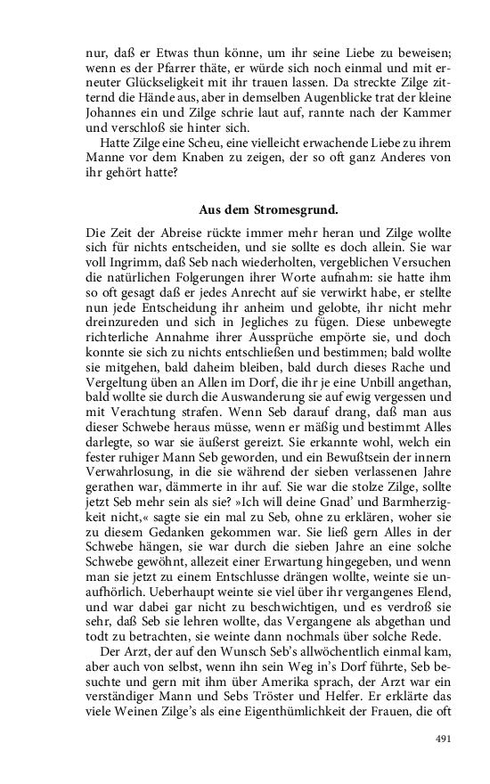 Seite 491
