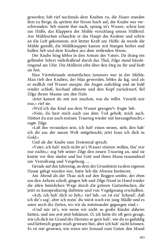 Seite 493