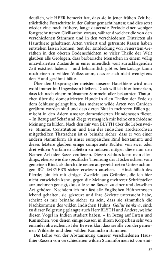 Seite 37