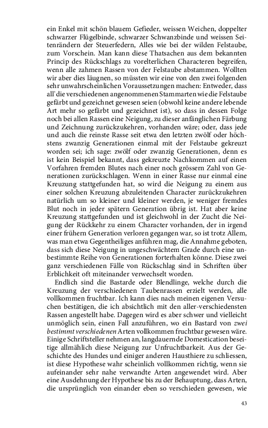 Seite 43