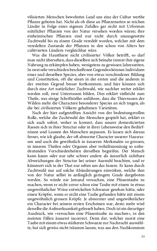 Seite 53