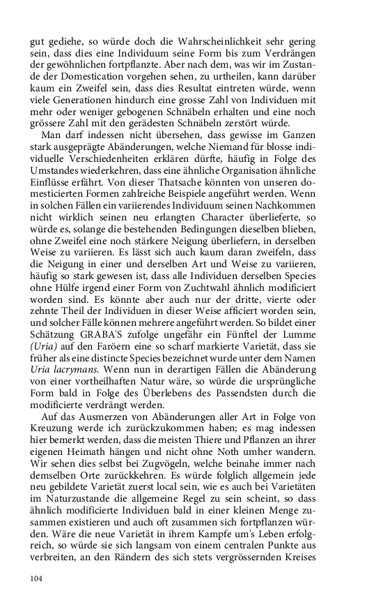 Seite 104