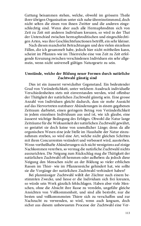 Seite 113