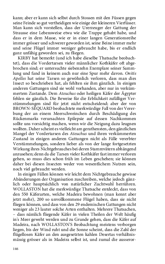 Seite 146