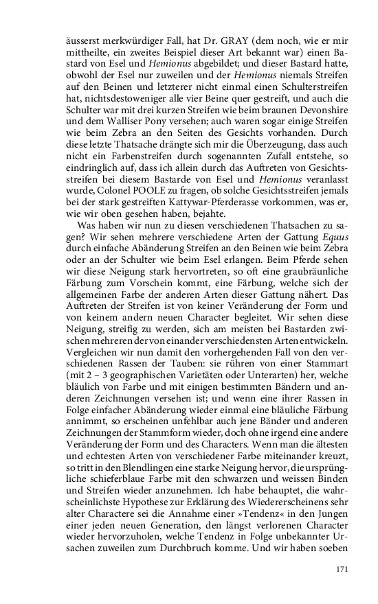 Seite 171