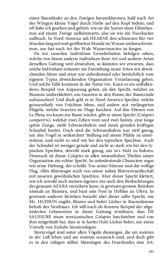 Seite 185