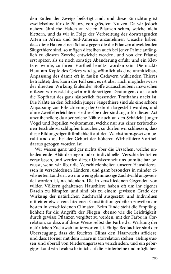 Seite 205