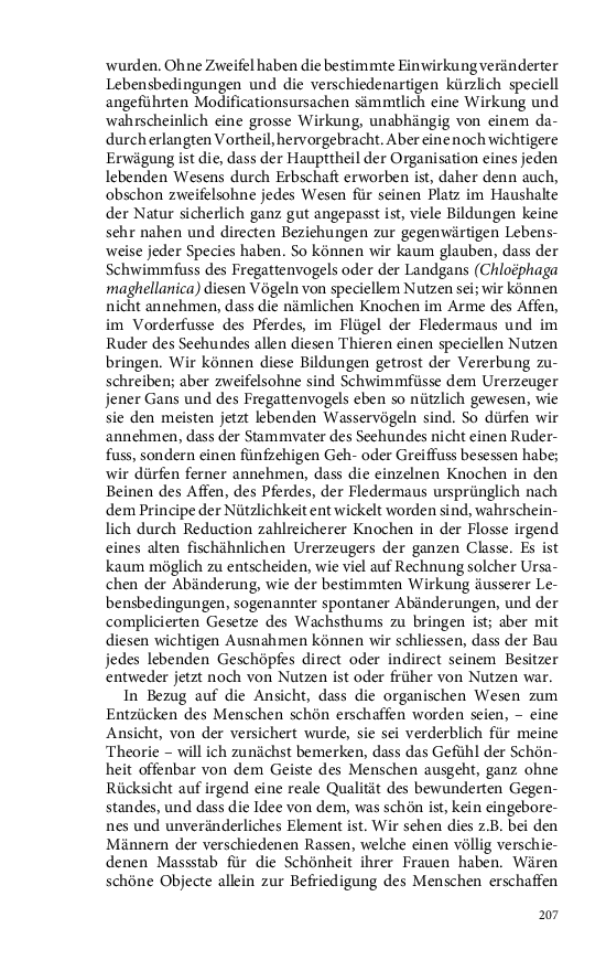 Seite 207