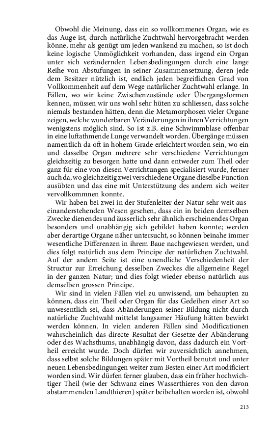 Seite 213