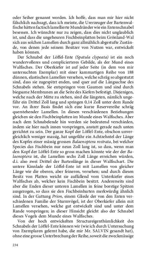 Seite 234