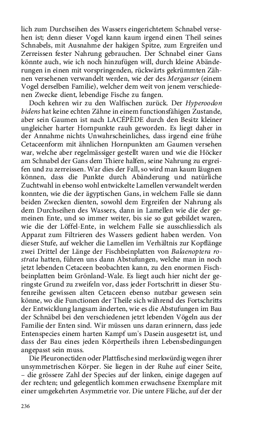 Seite 236