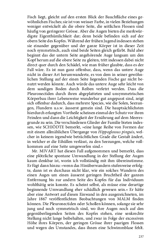 Seite 237