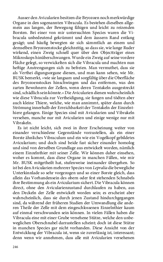 Seite 246