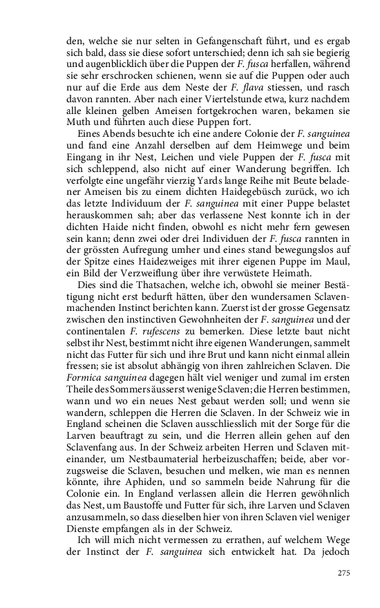 Seite 275