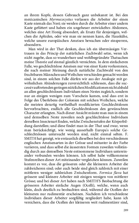 Seite 289