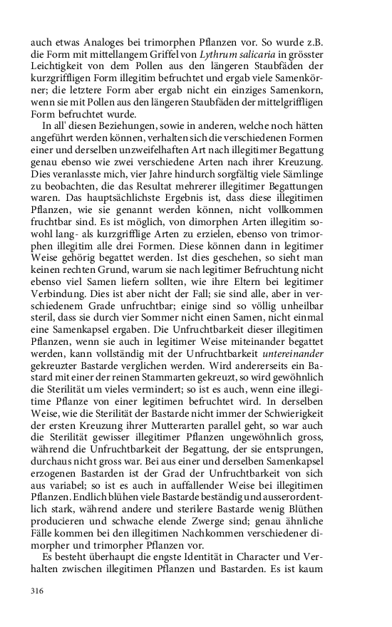 Seite 316