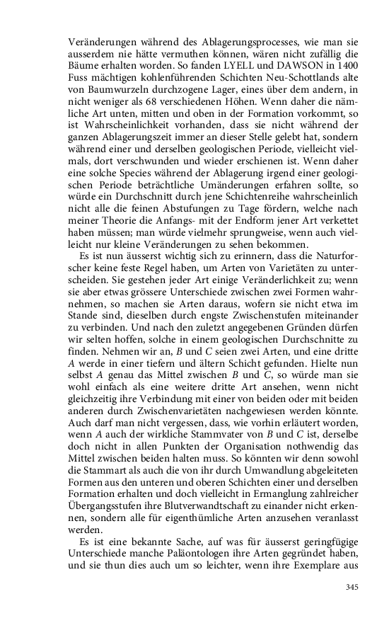 Seite 345