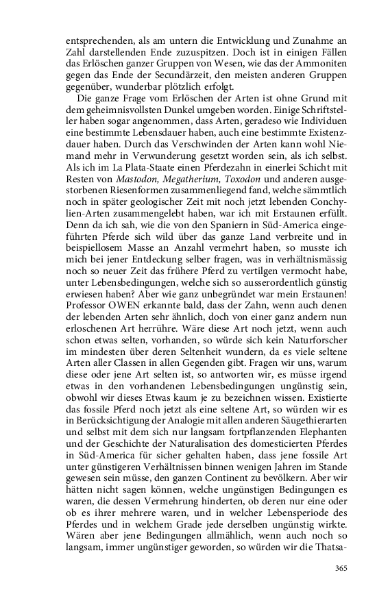 Seite 365