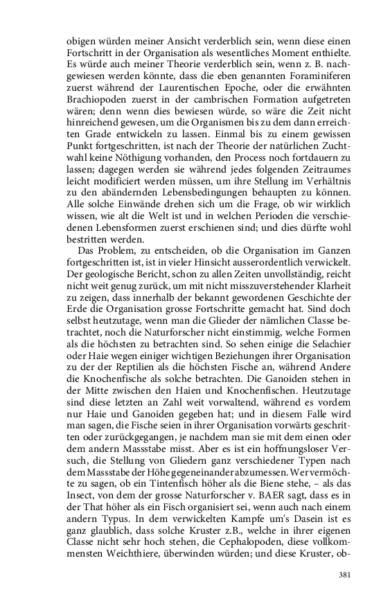 Seite 381